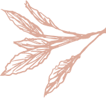 demo-attachment-336-Flower-2-1
